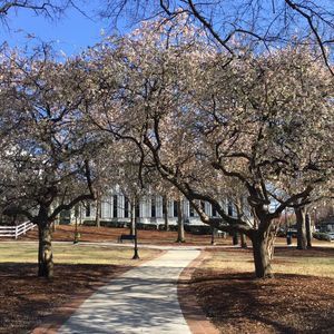 Meet your Posher, Holly